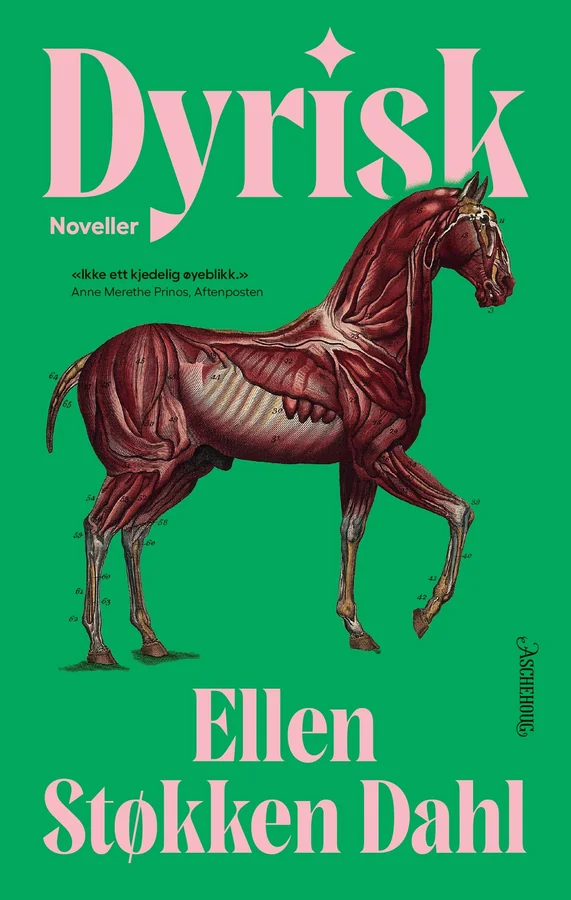 Dyrisk